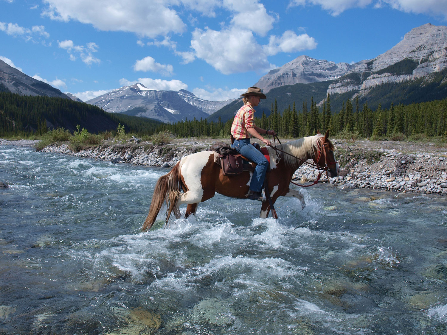 The Cowboy Trail at the Elbow River