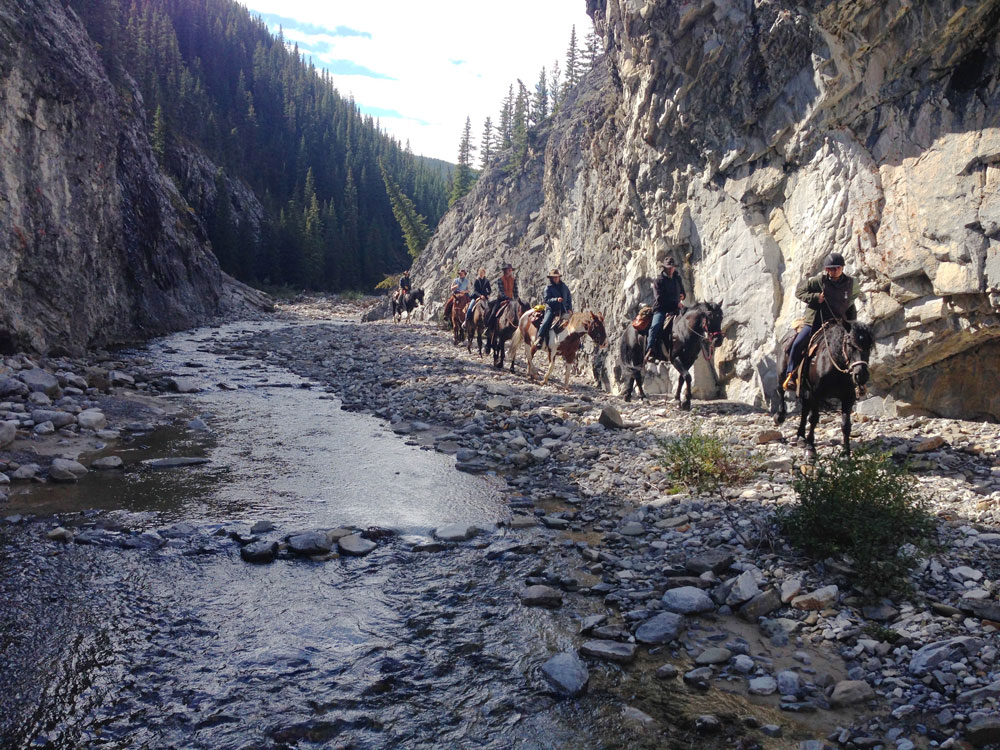 Moose Mountain Horseback Adventures