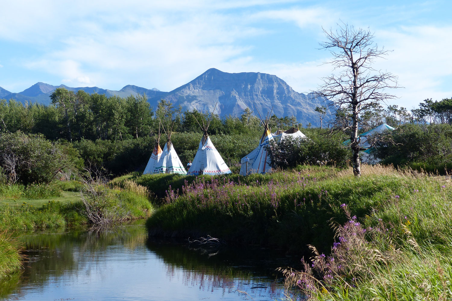 trail riders of the canadian rockies camping